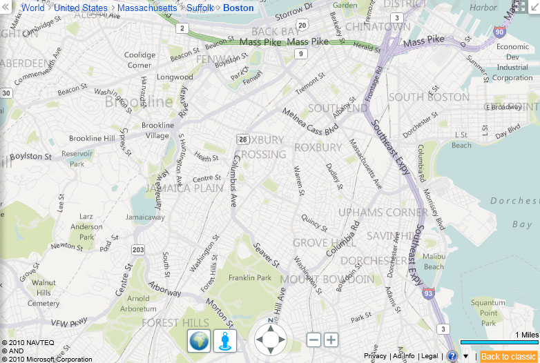 Bing Maps - neighborhood level