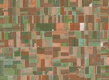 Treemap in Google Maps aerial